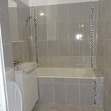 Camil Ressu- Nicolae Grigorescu